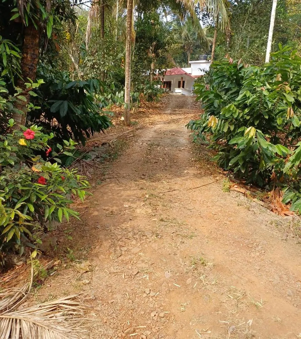 River Valley Service Villa Манантавади