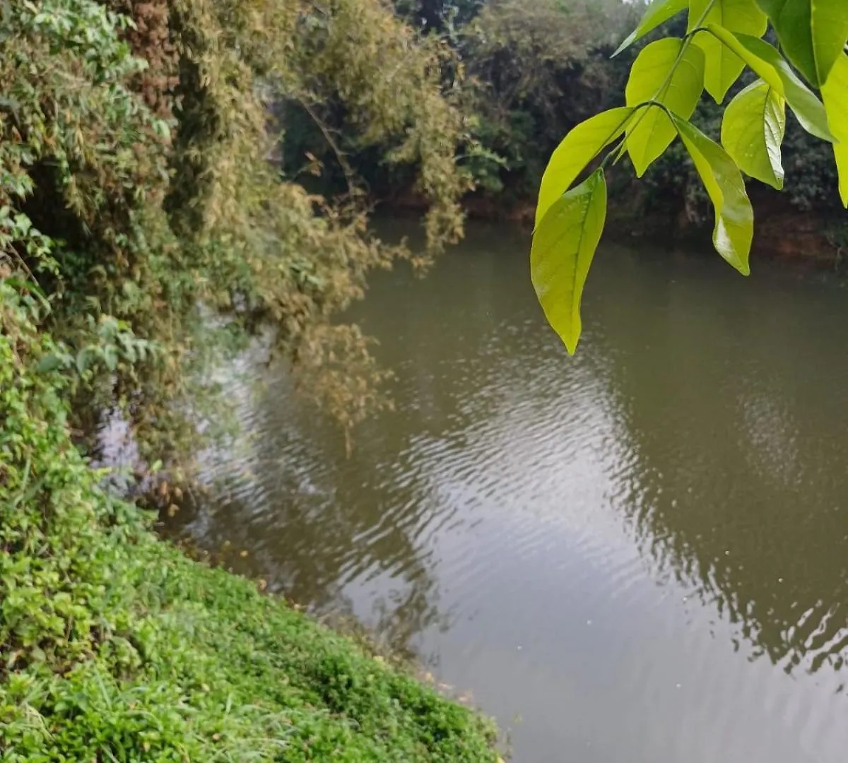 River Valley Service Villa Манантавади