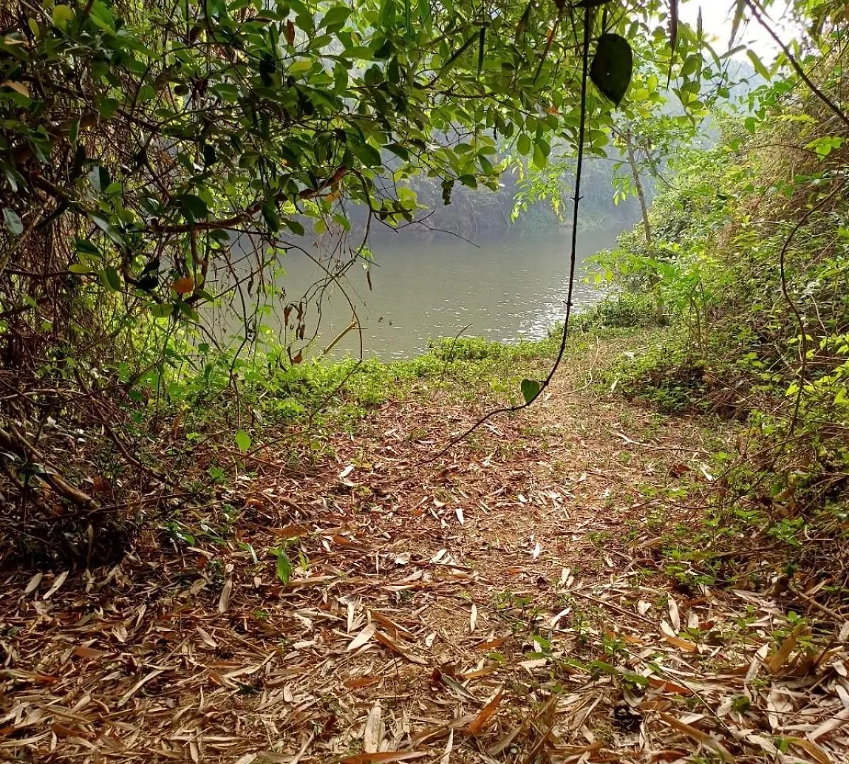 River Valley Service Villa Mananthavady Indien