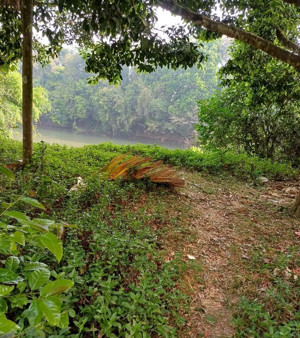 River Valley Service Villa Mananthavady Indien