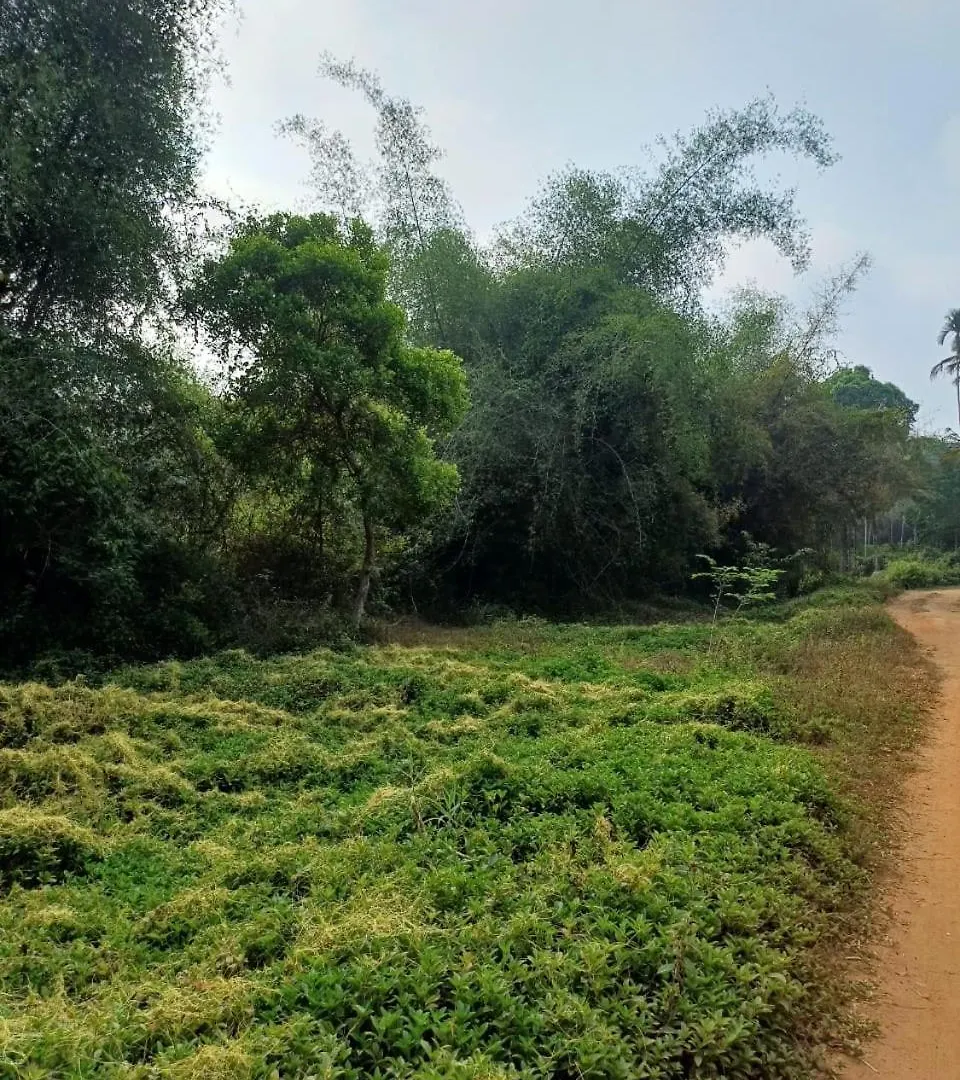 River Valley Service Villa Mananthavady 0*,  Indien