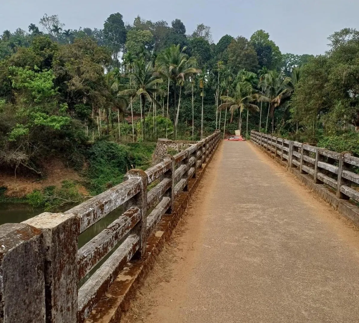 River Valley Service Villa Mananthavady